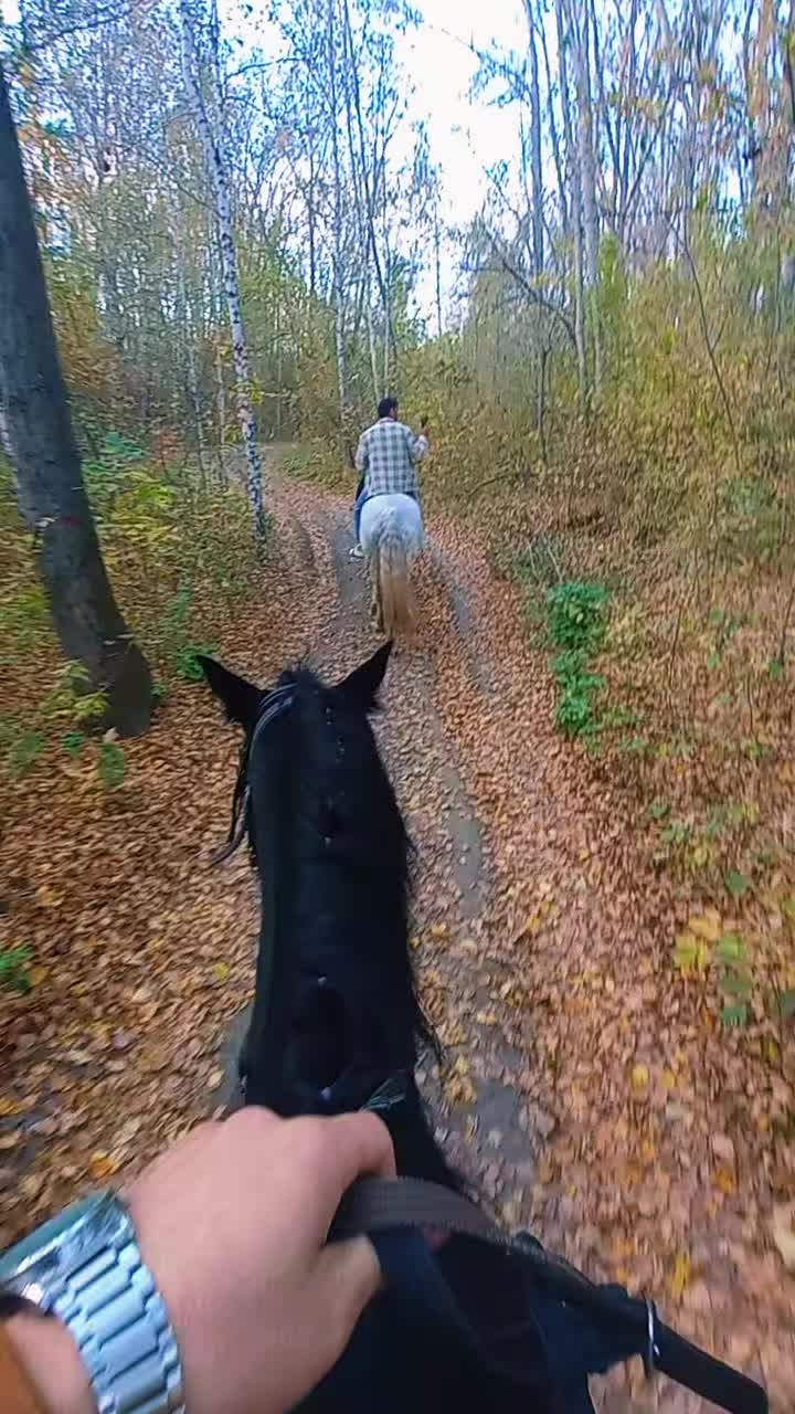 @tot_Tajik_oo3