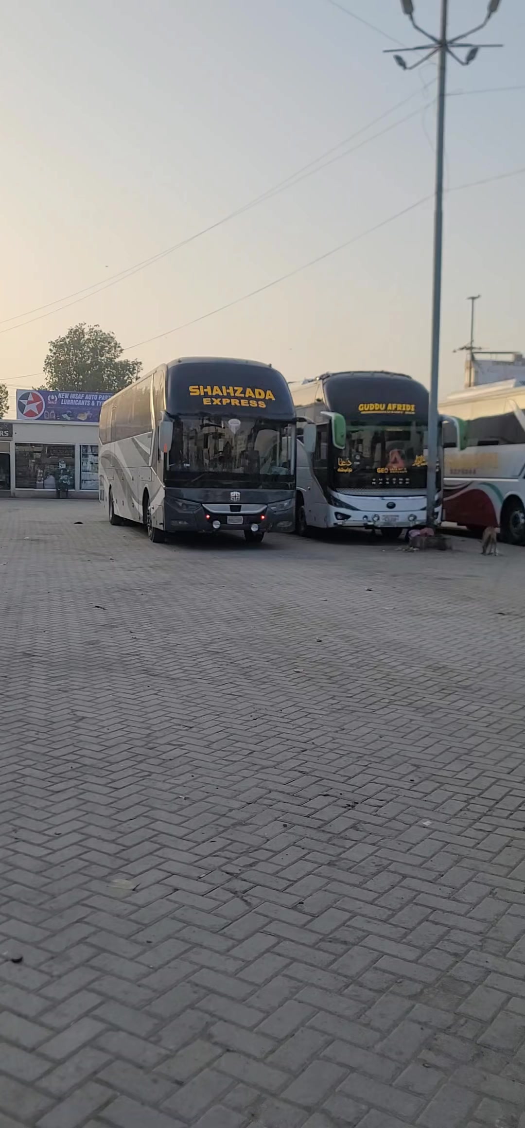 @ملک زین اعوان   ✅