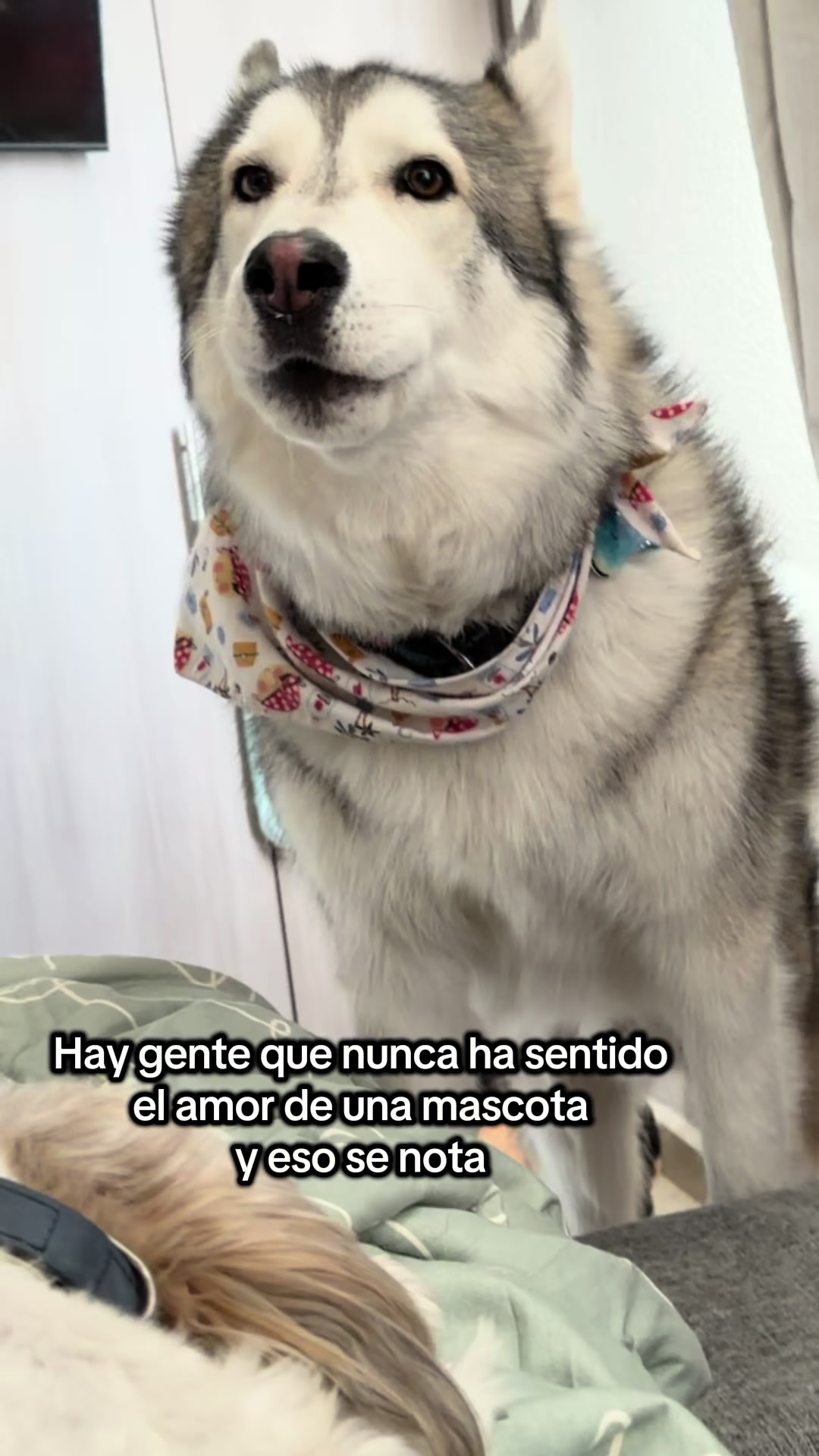 @KZ