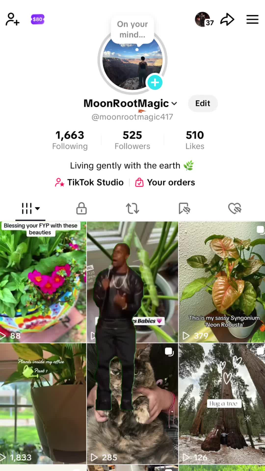 @Moon Root Magic Plant House