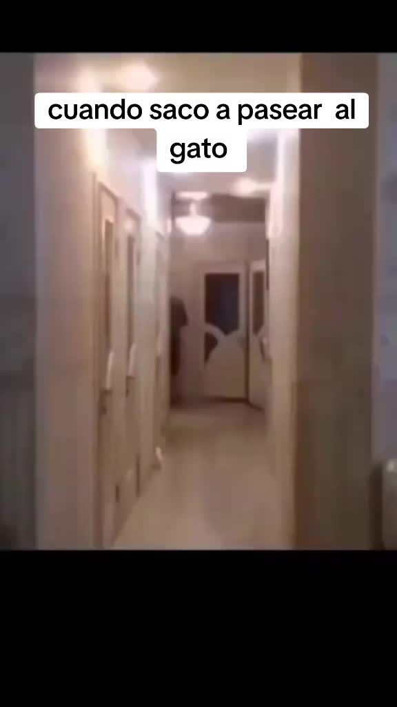 @G .. maldonado