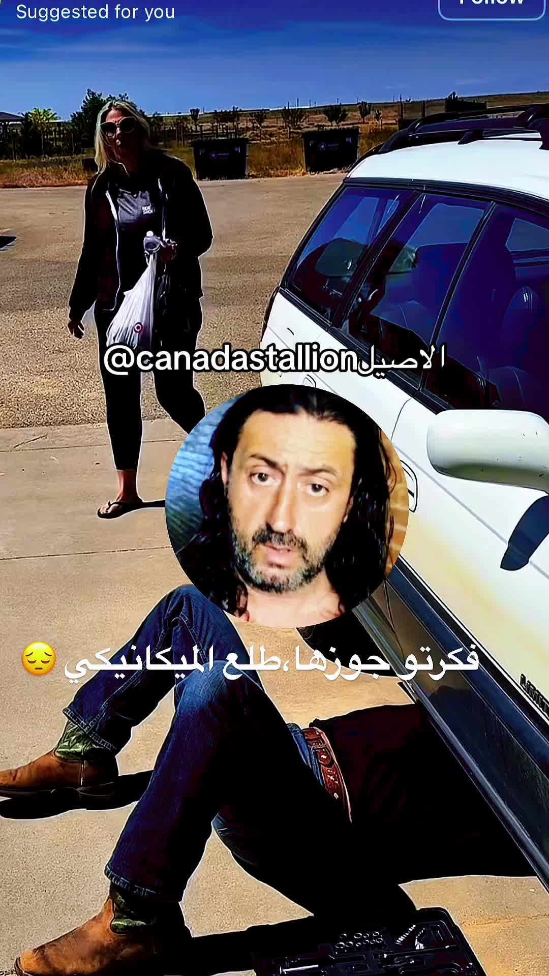 @Canadastallion 🇨🇦 الأصيل