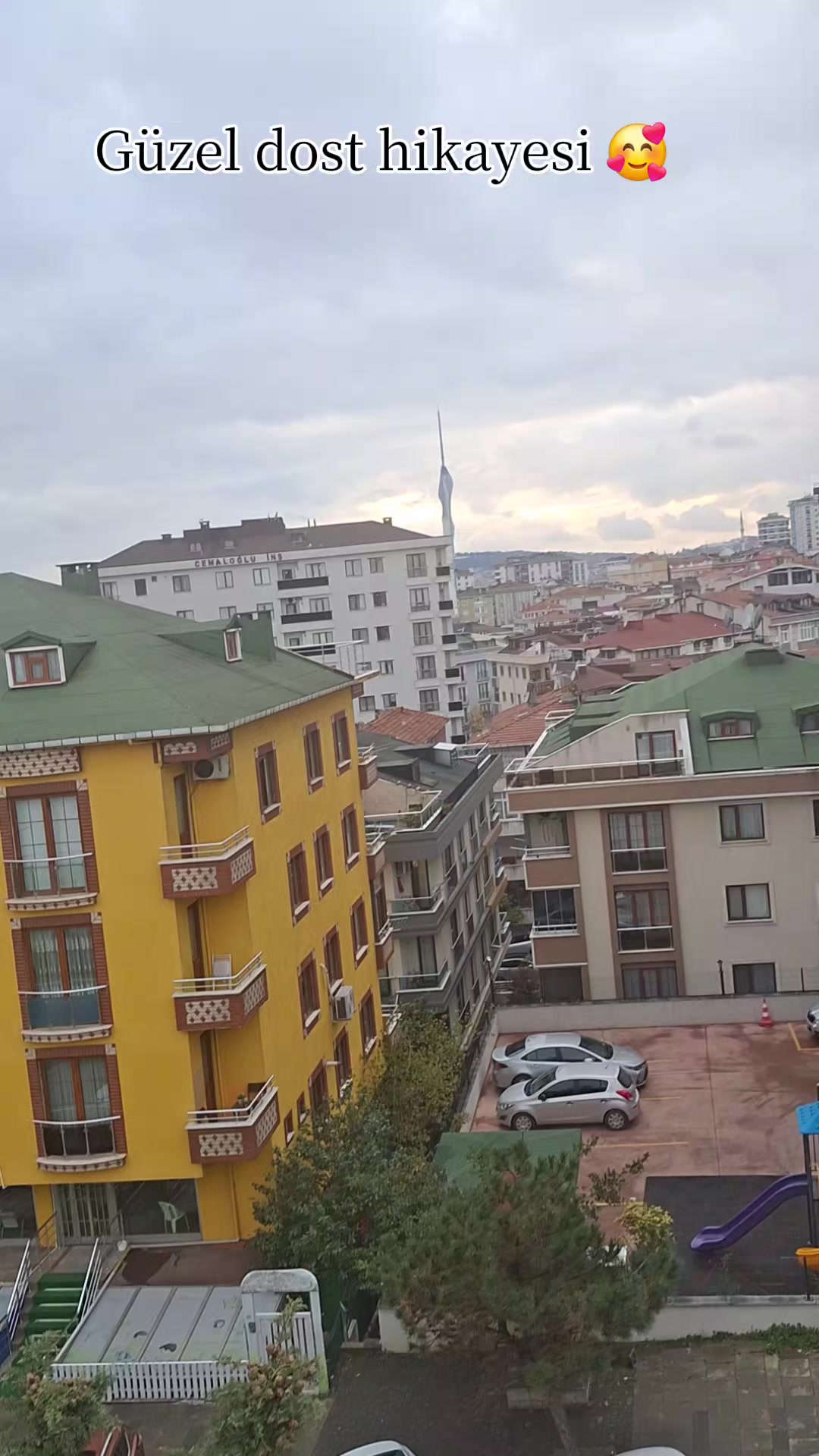 @masalın toplu iğnesi