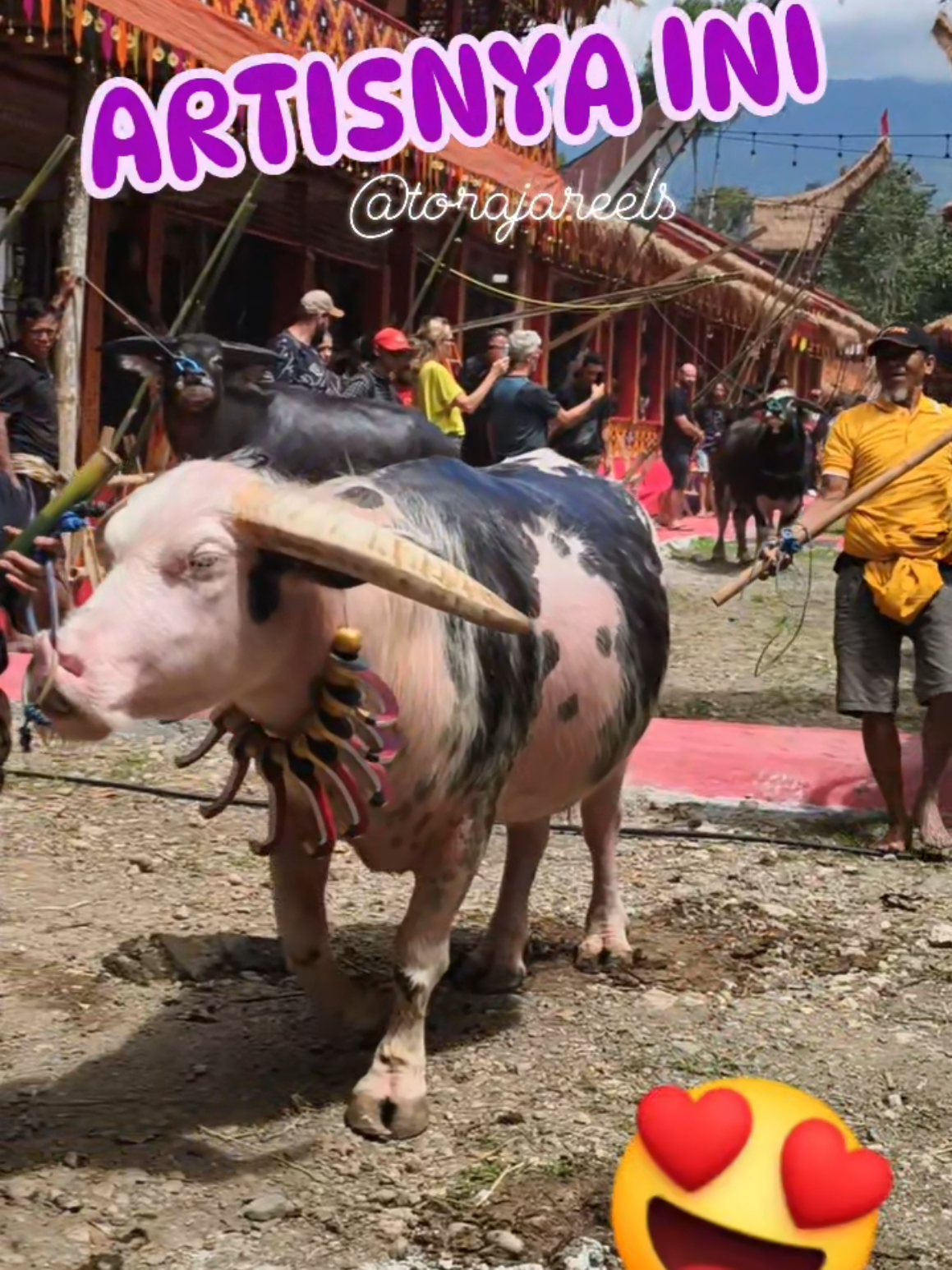 @Toraja Reels