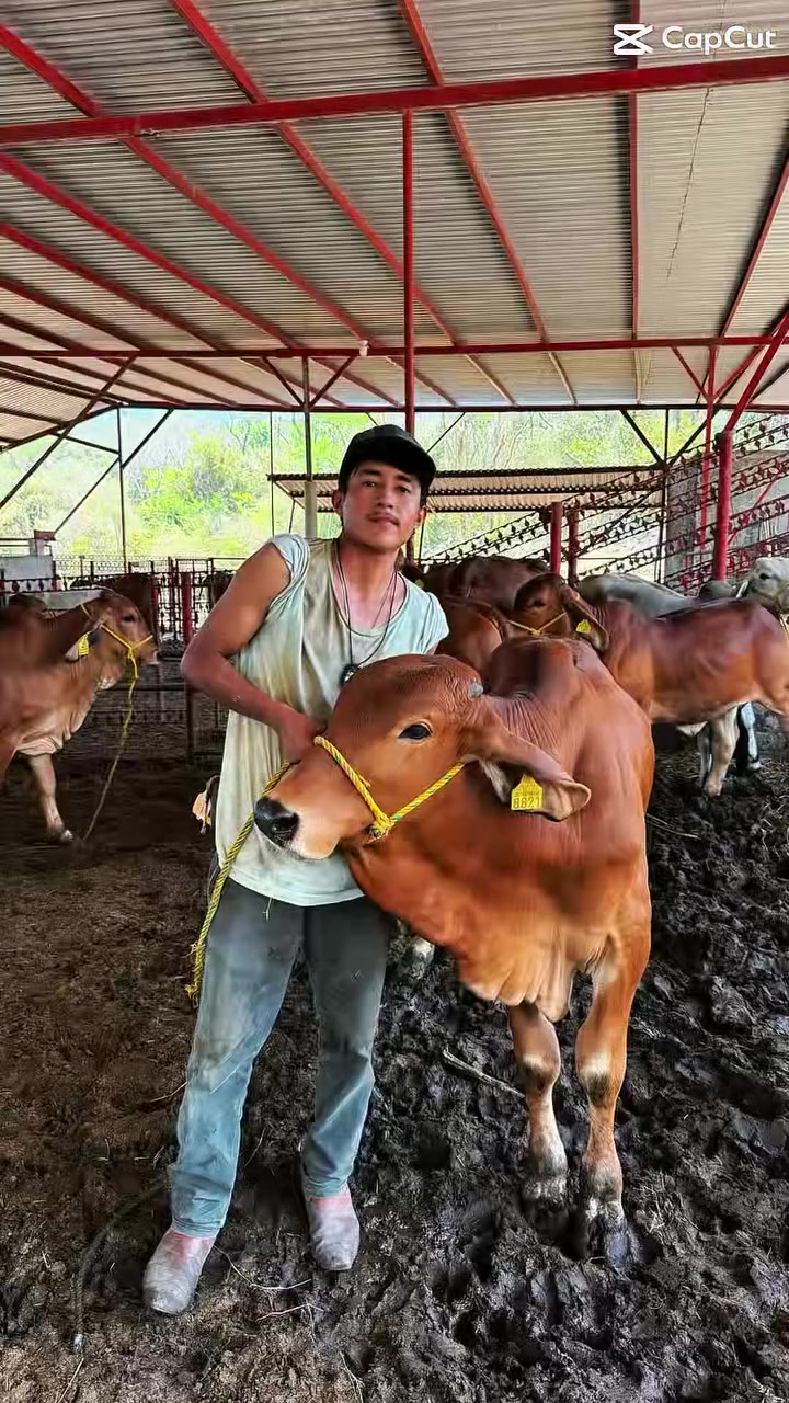 @Rancho Piedra Nube