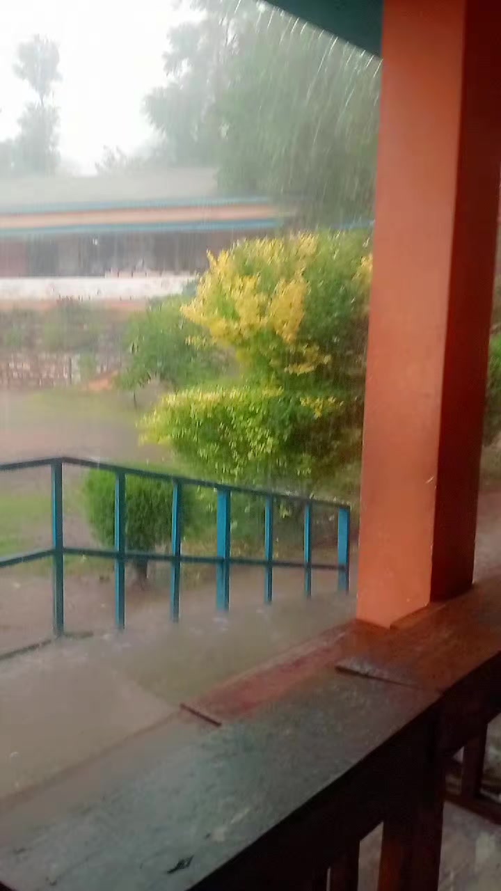 @Shah Hussain Bukhari🍁