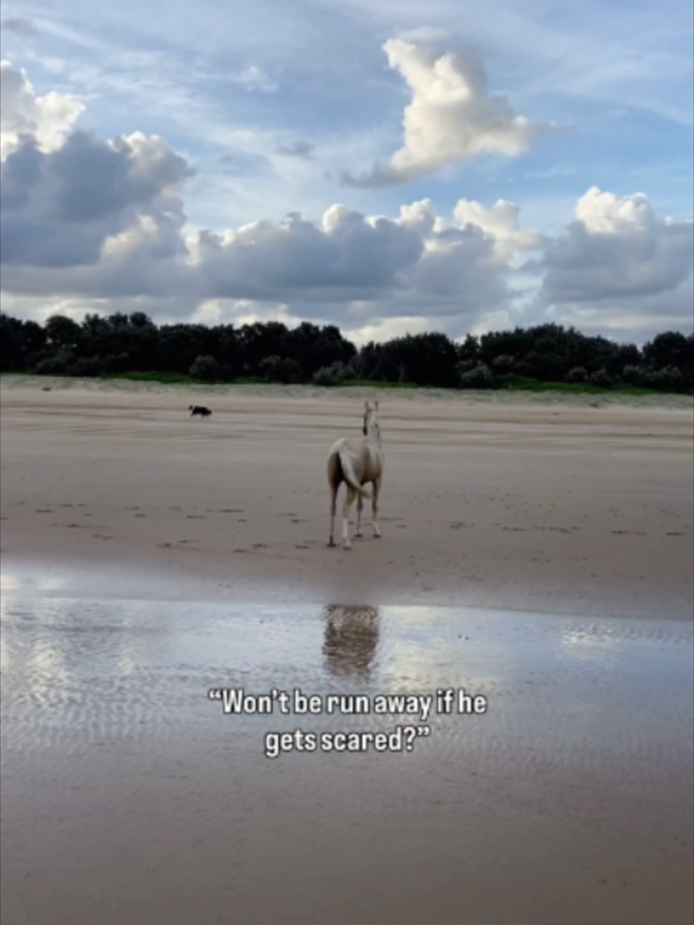 @Myhorsewillow