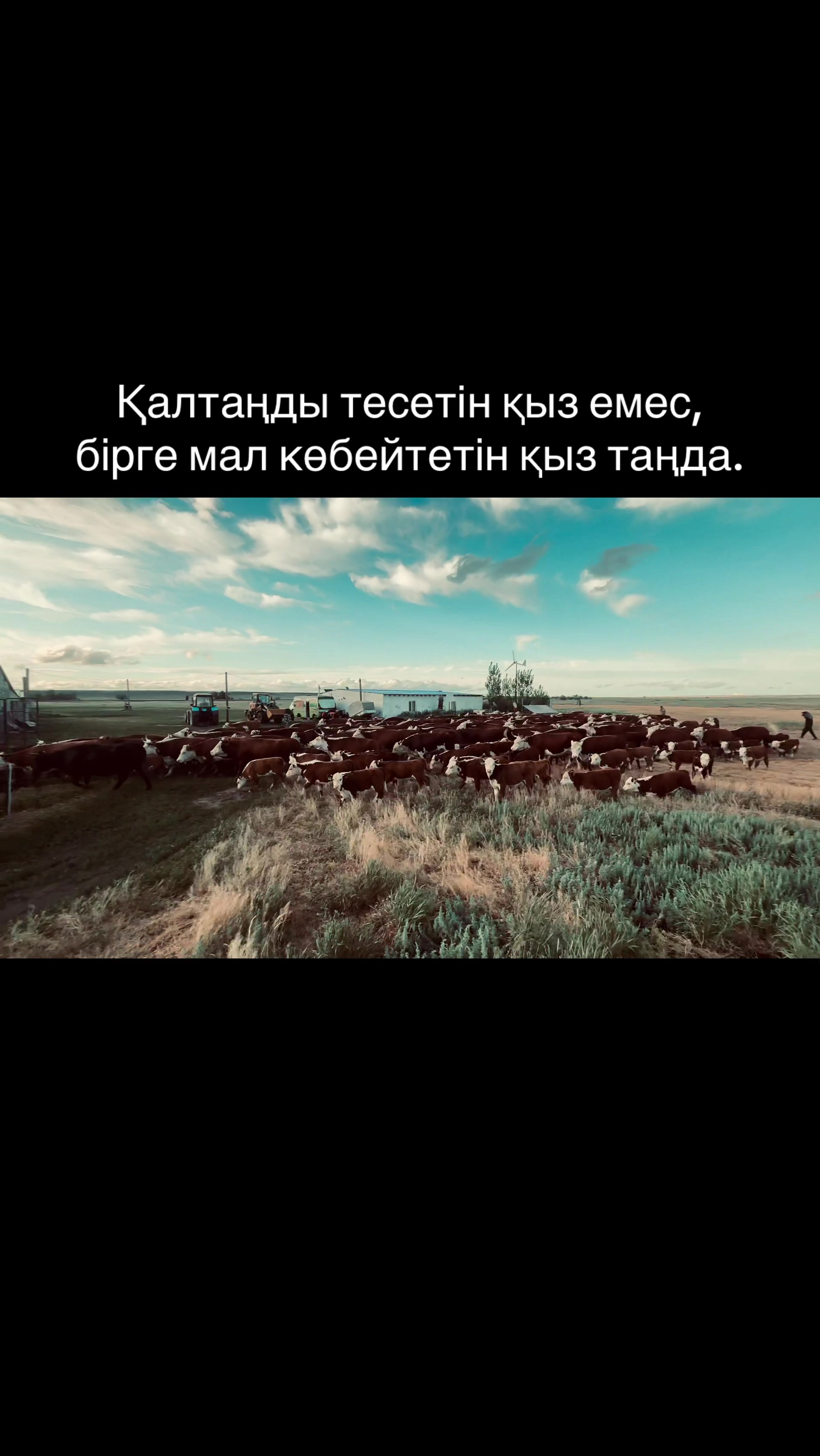 @kh.dan1yar