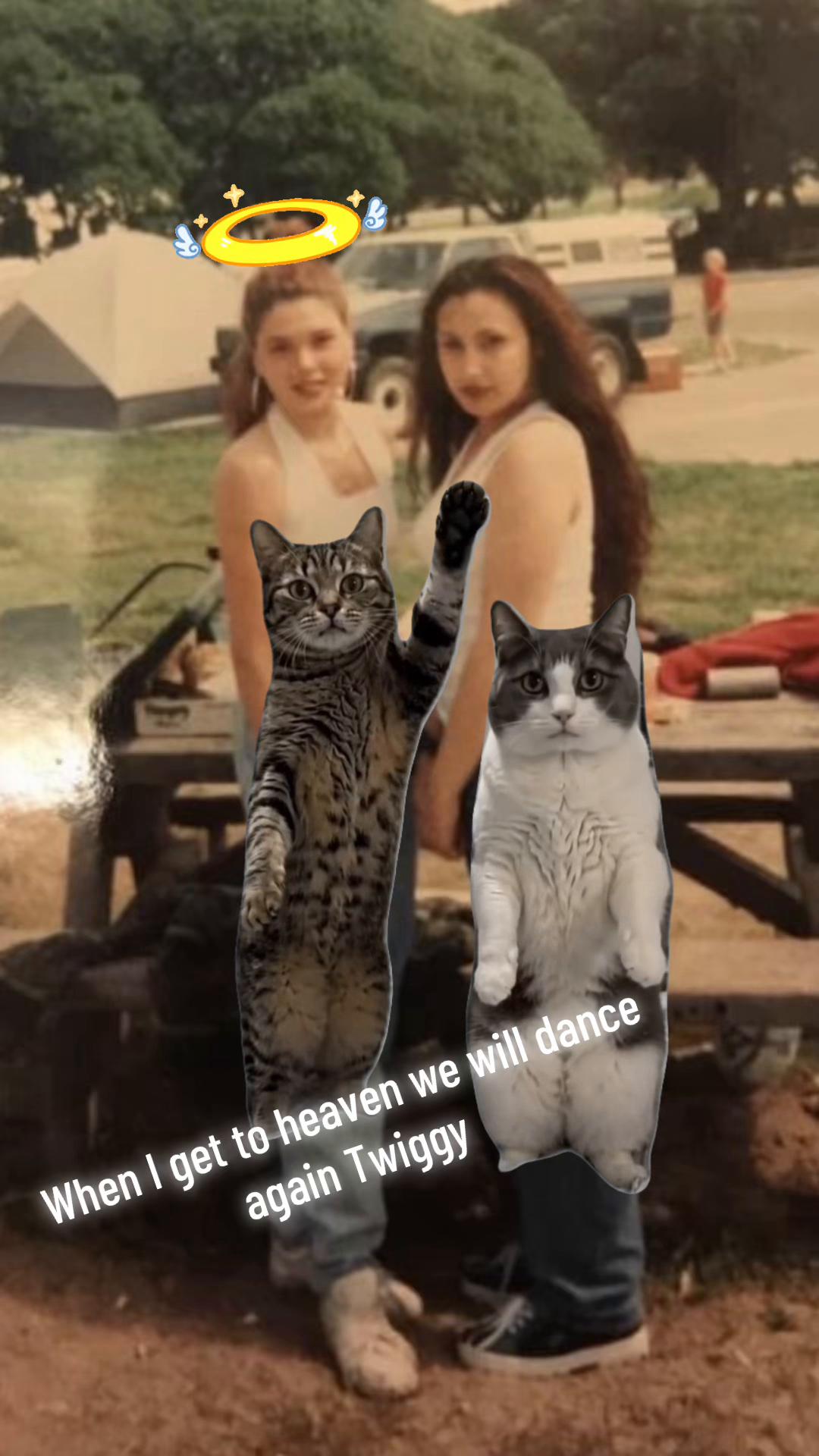 @sin13vida