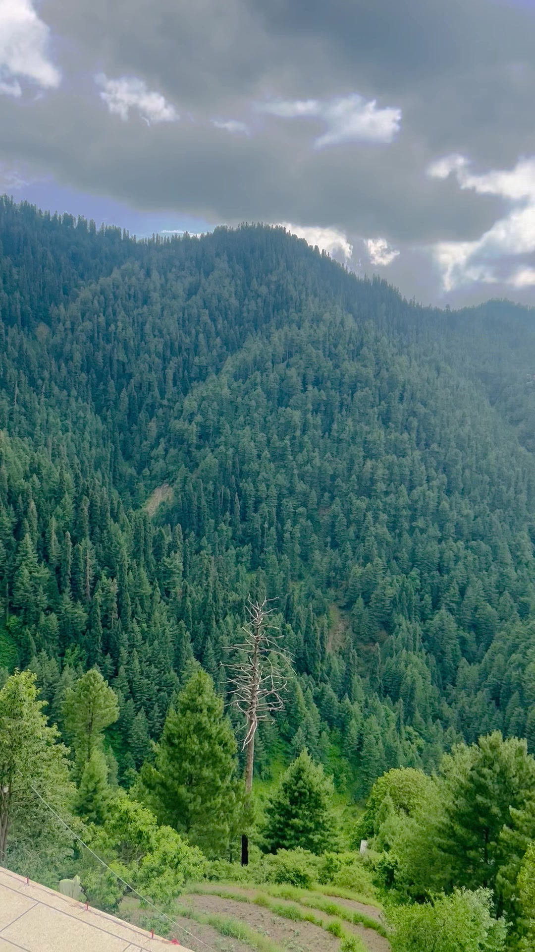 @چوھدری تصدق مالک چیمہ