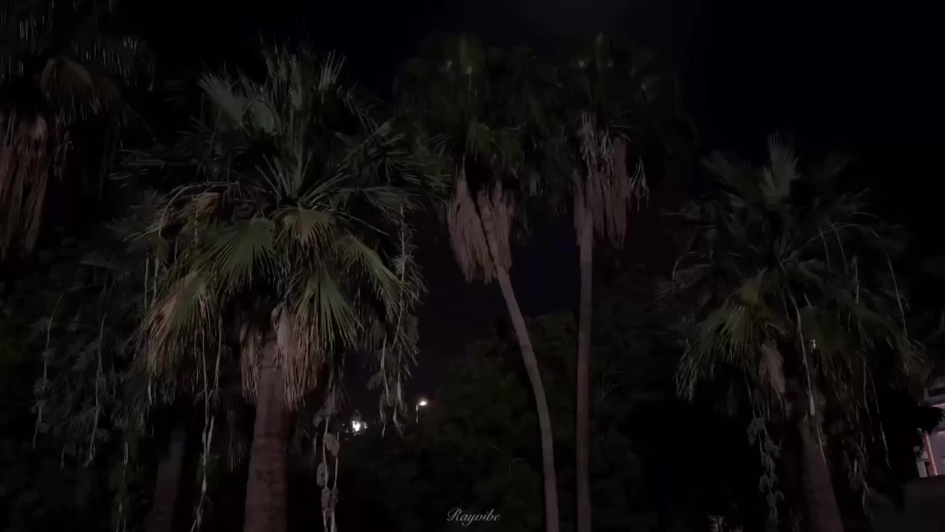 @rayvibe