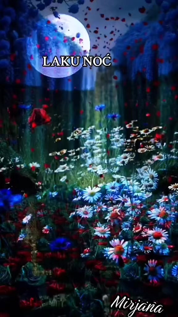 @mirjanavuckovic71