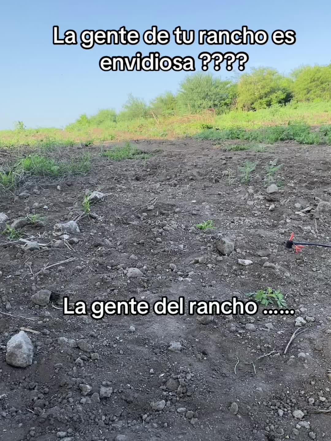 @MARIS BARRAGÁN