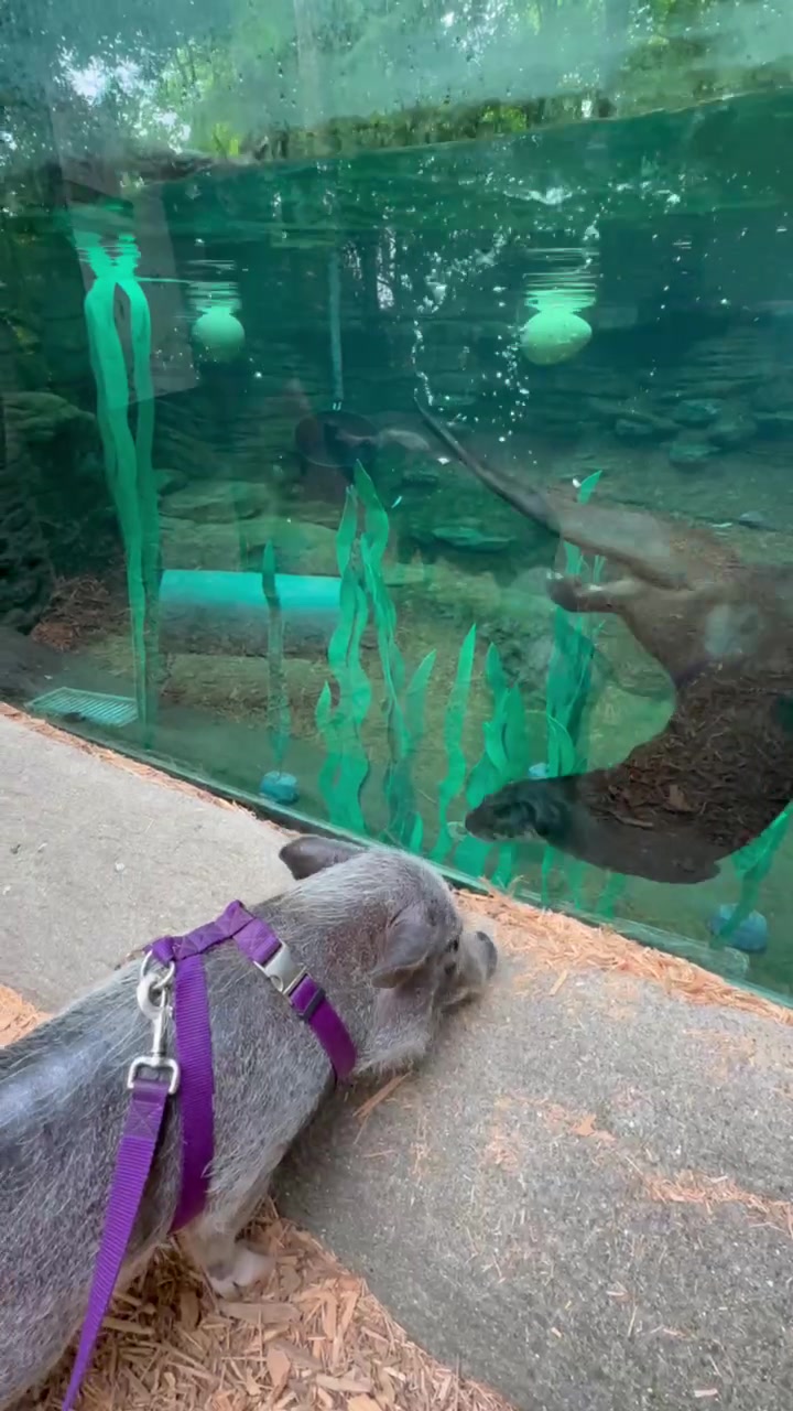 @Cincinnati Zoo