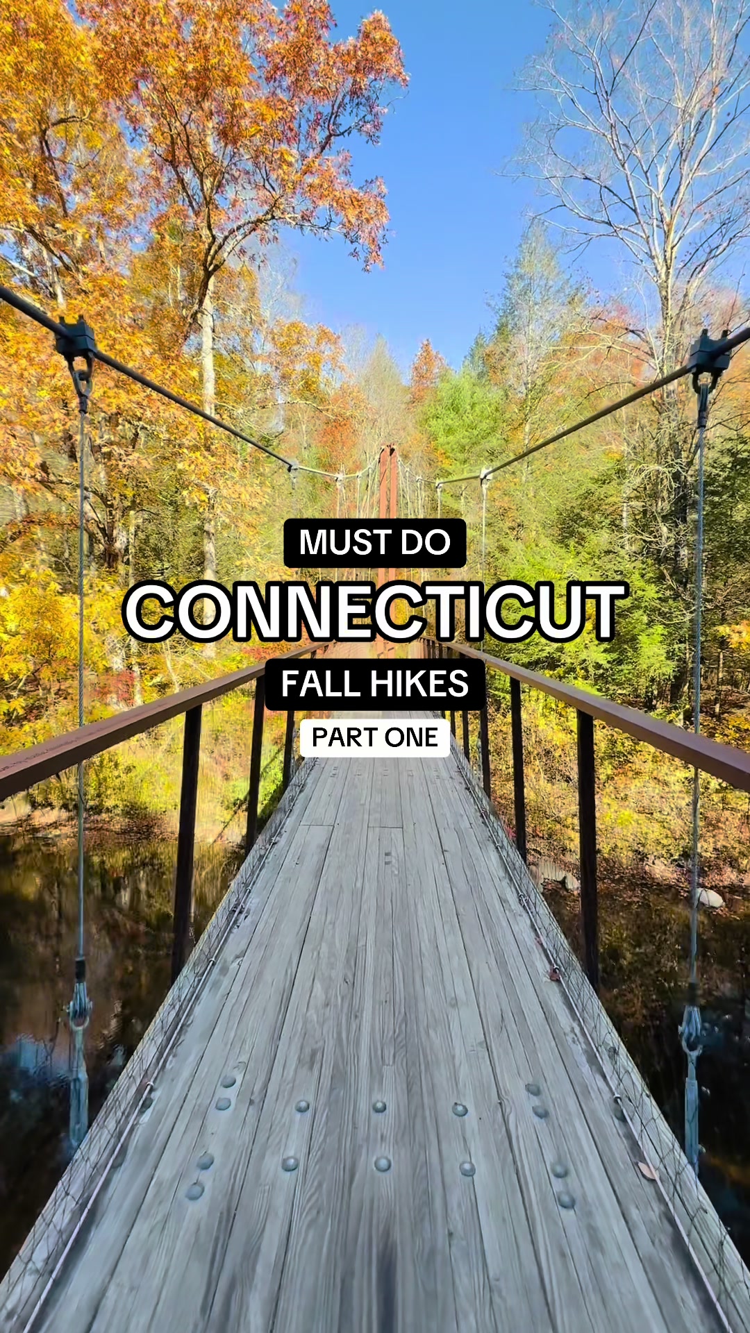 @tasteconnecticut