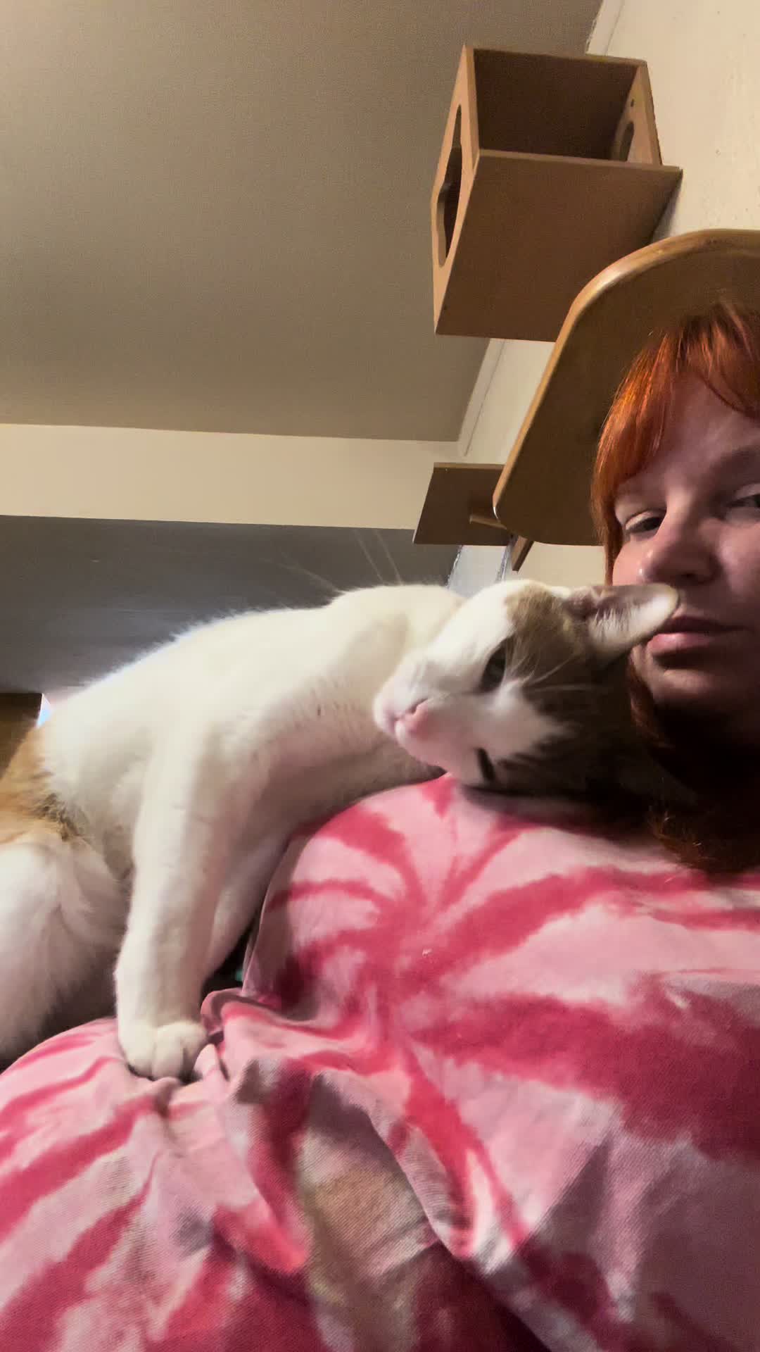 @Therapy Cat Roger & Family