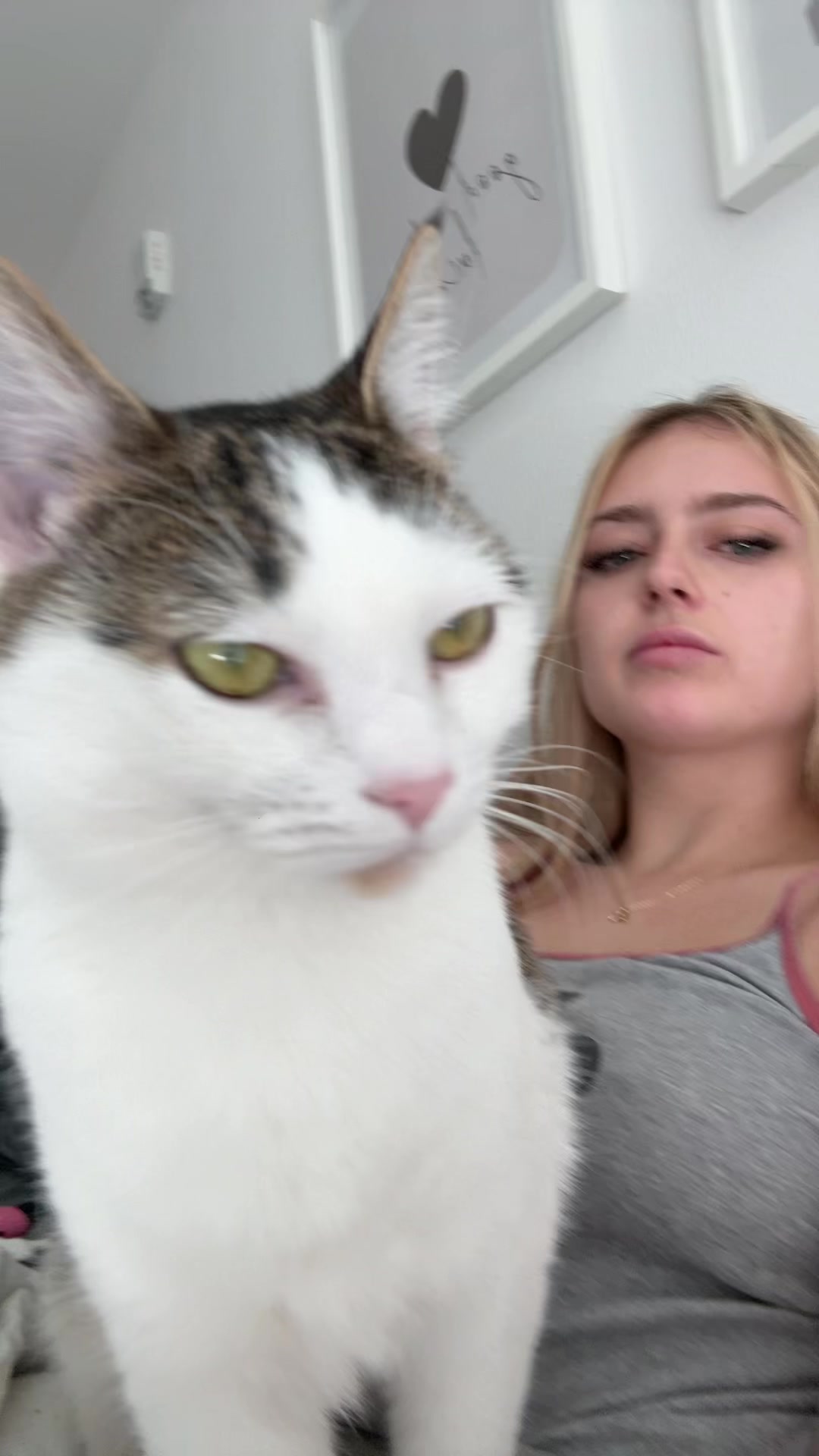 @alyssa