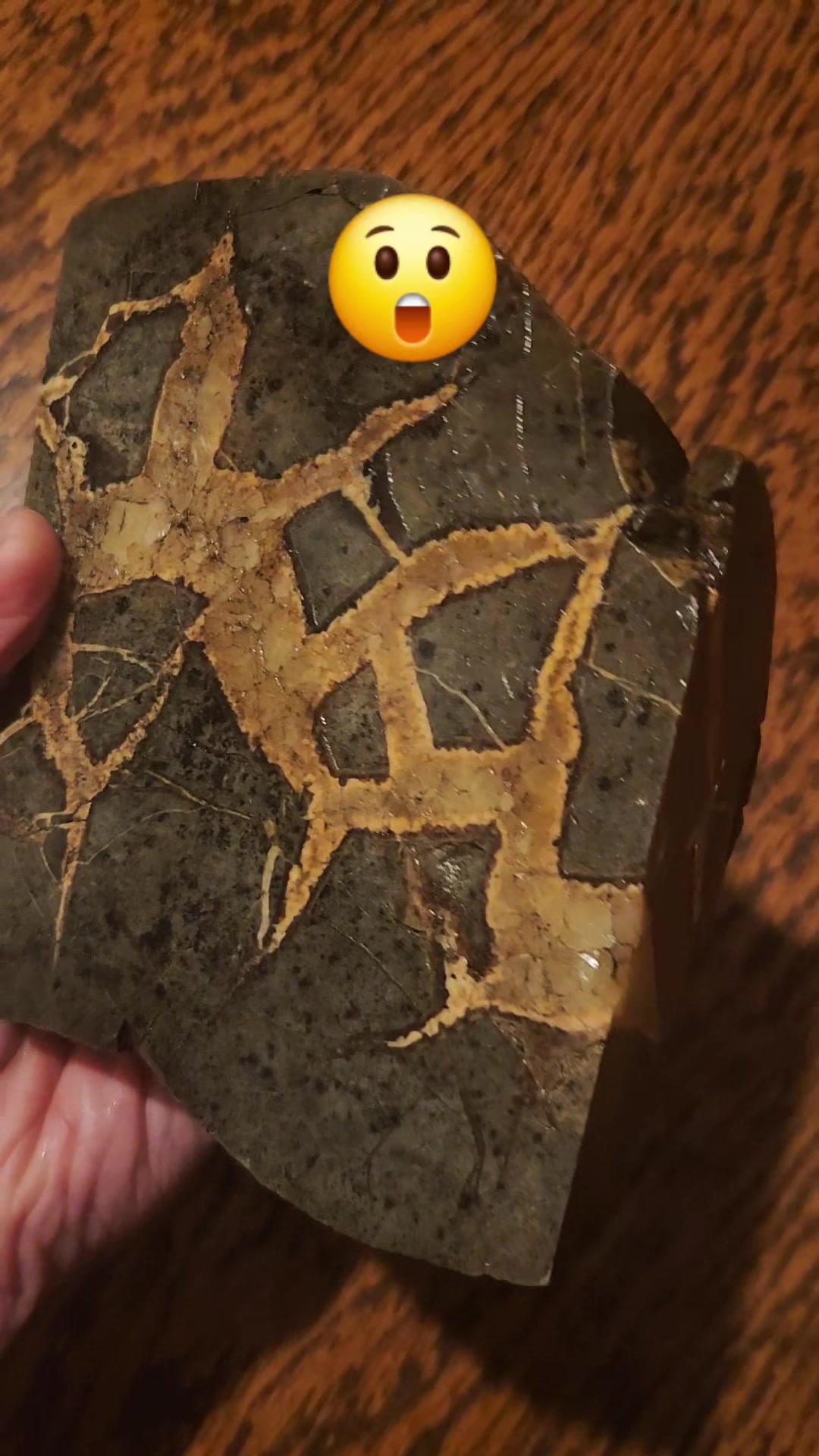 @EarthyFinds