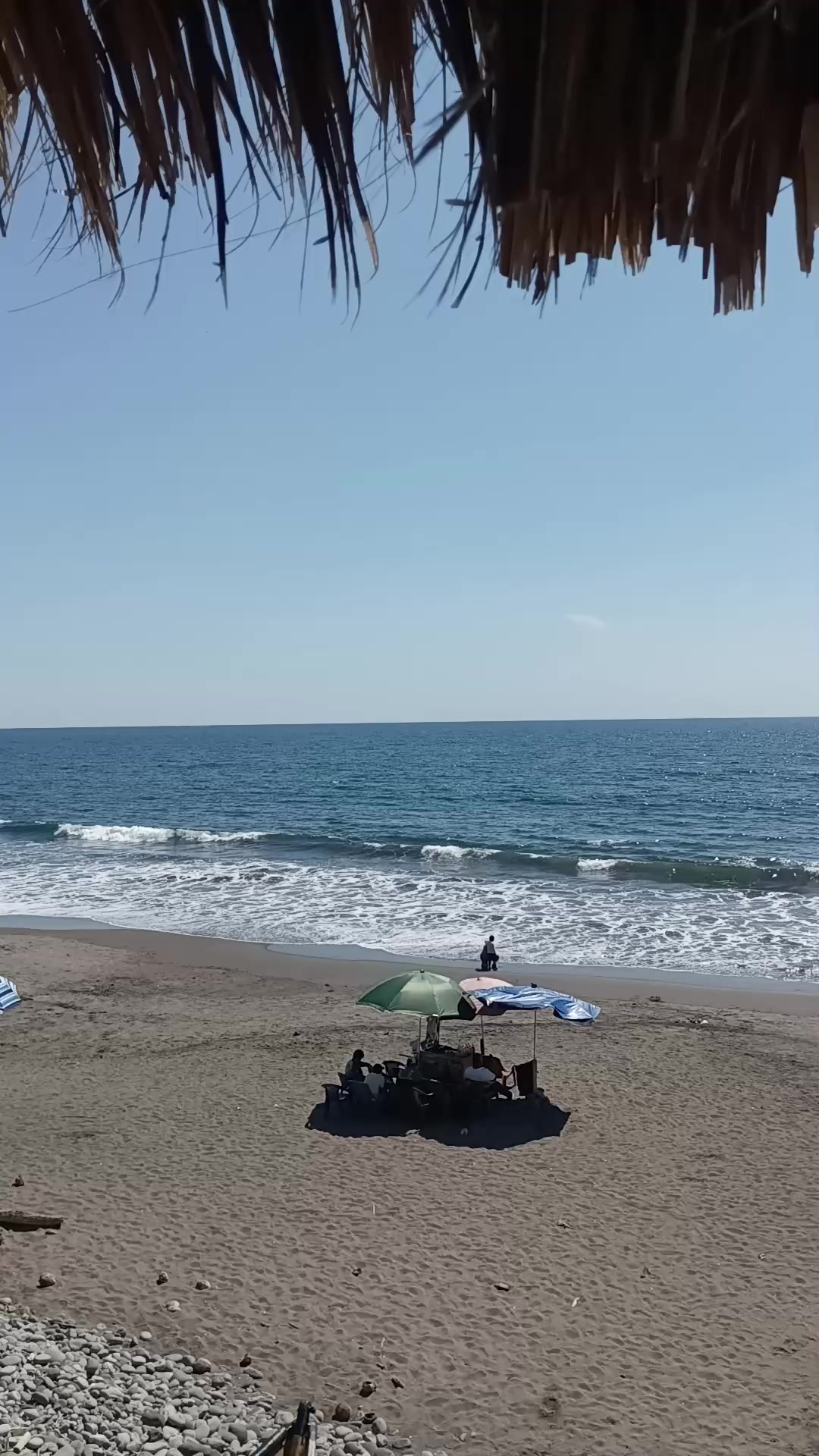 @chaparrita