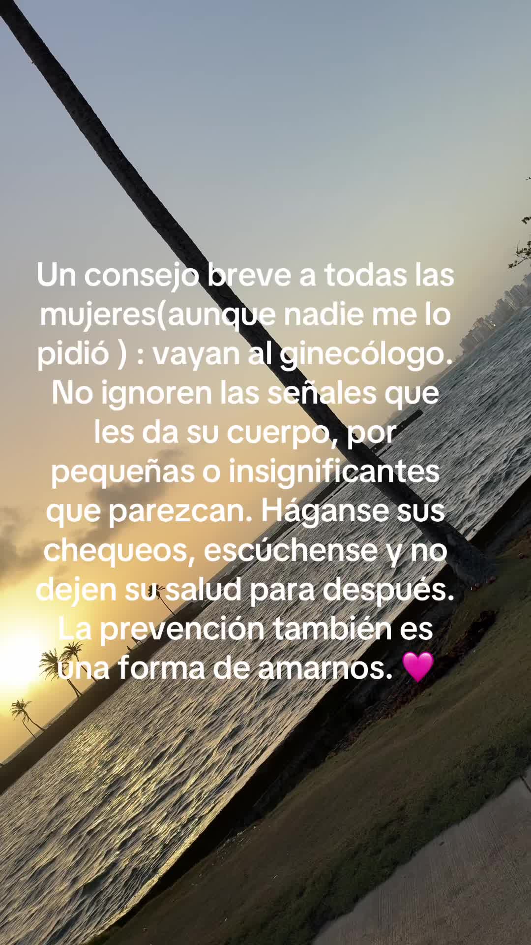 @🫧Brenda Mayta🪴