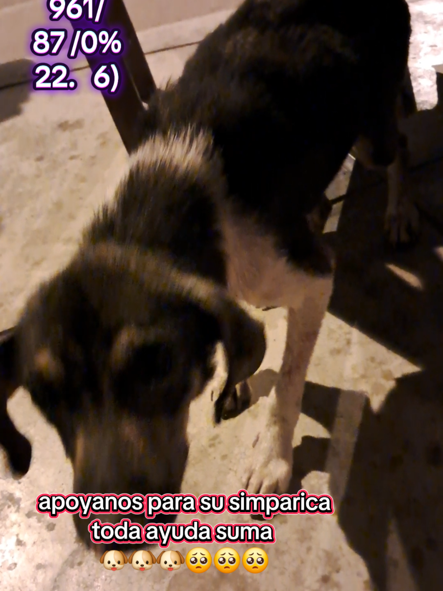 @Will AnimaLover