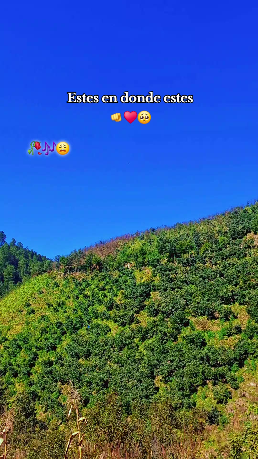 @🥀_El chico temerario_🥀