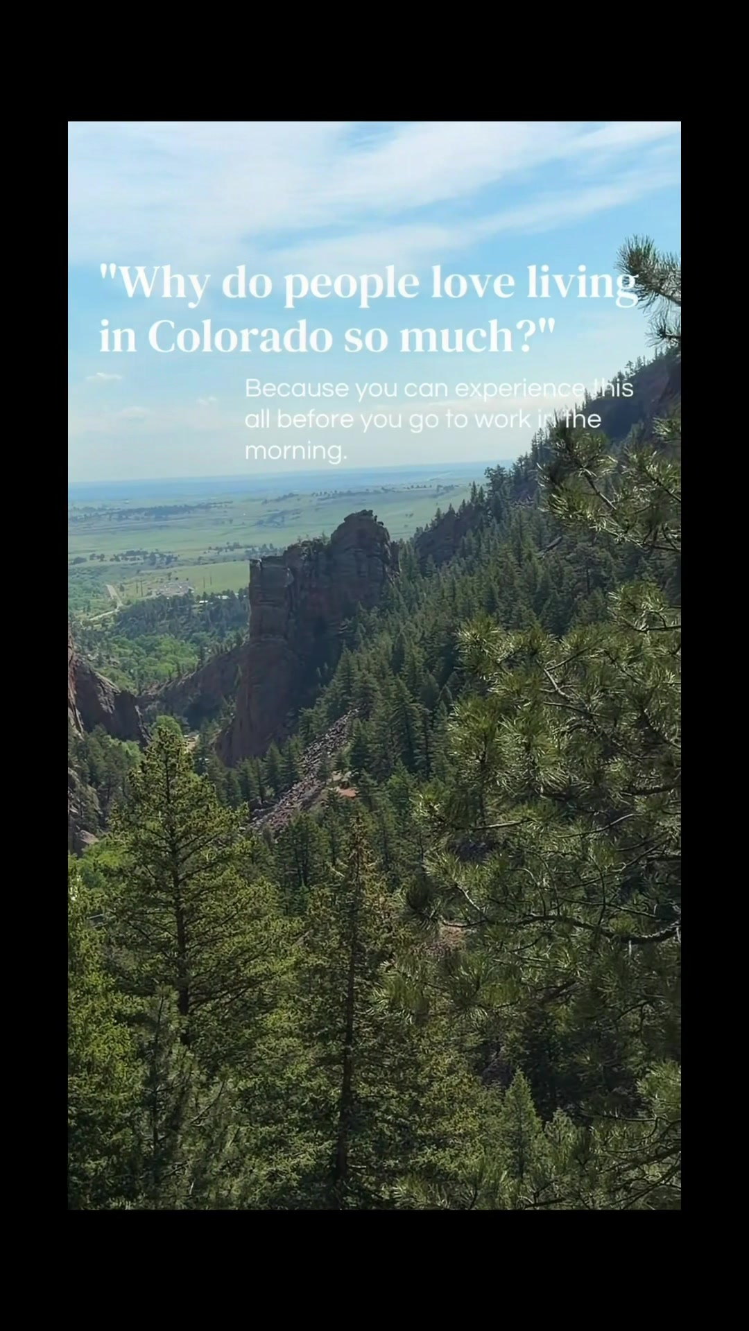 @taylor.denverrealtor