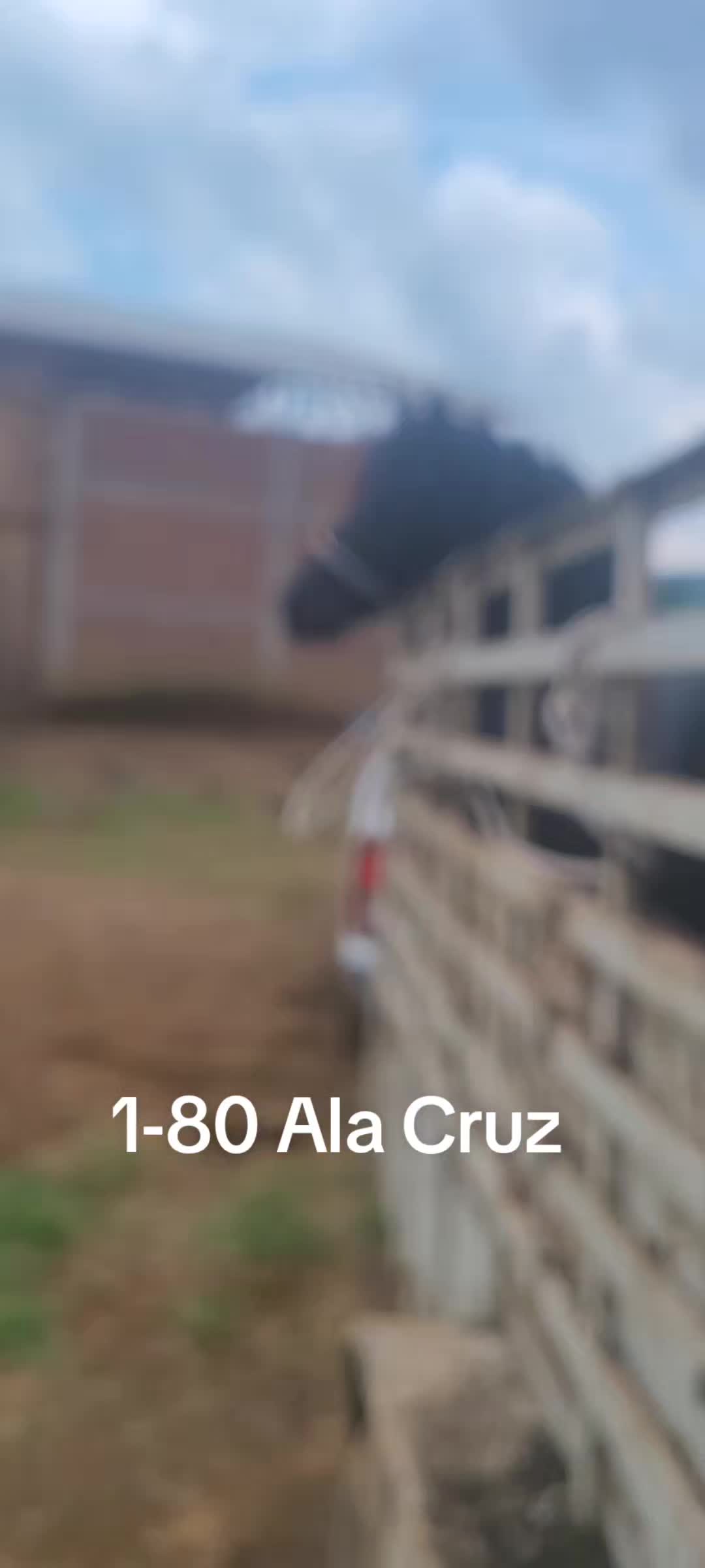 @RANCHOROSAS