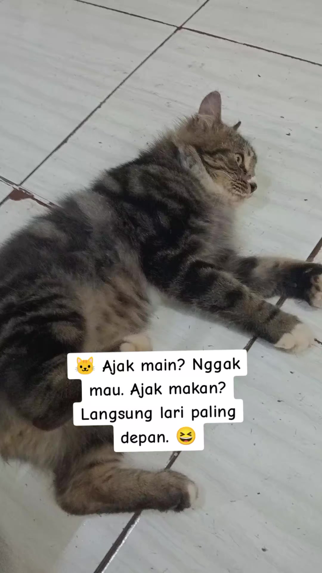 @Rizqi