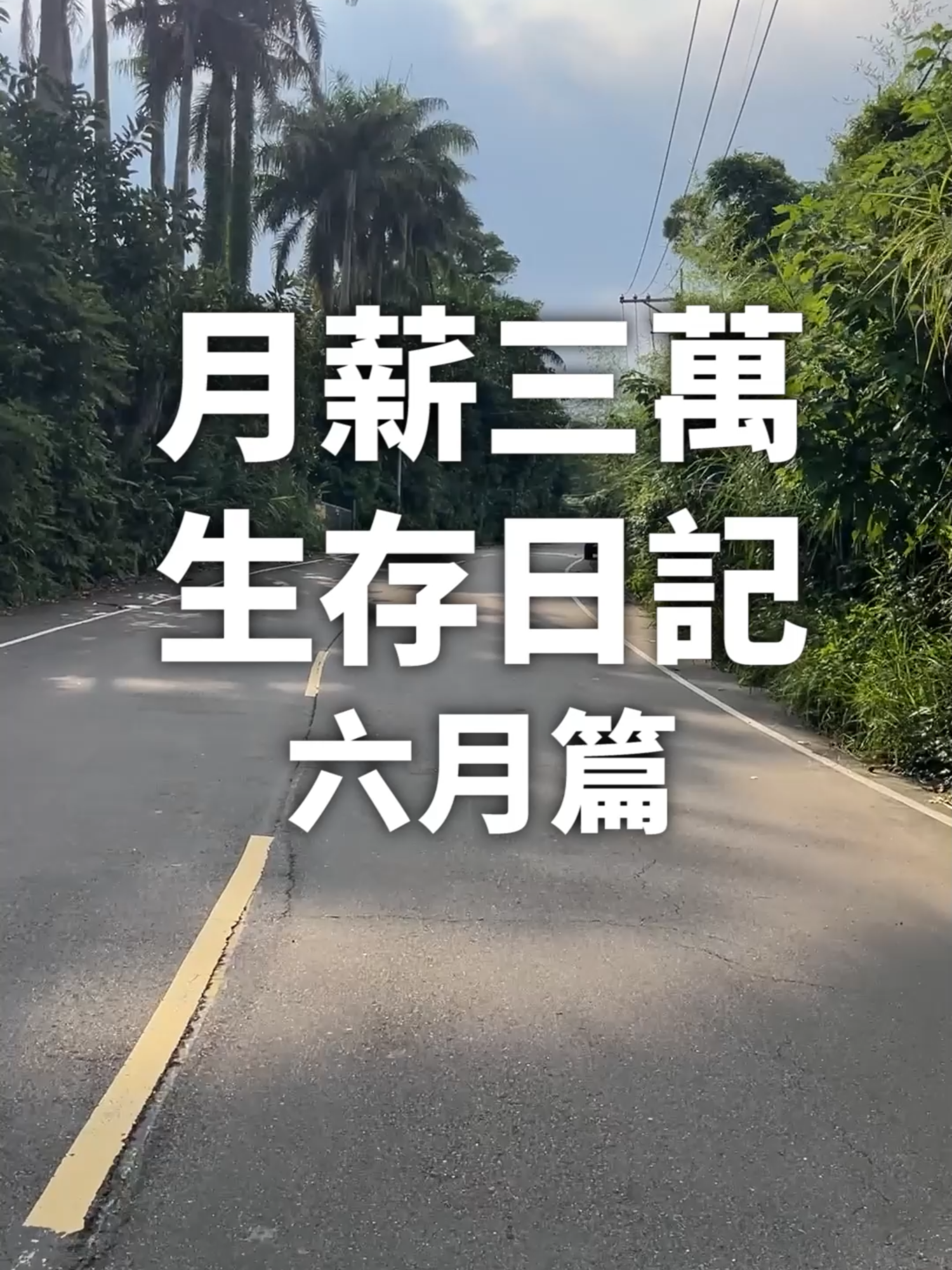 @桃漂屁屁雅