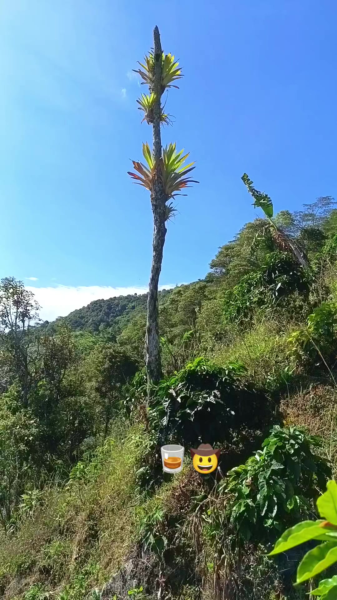 @💥 GARC&Iacute;A💥