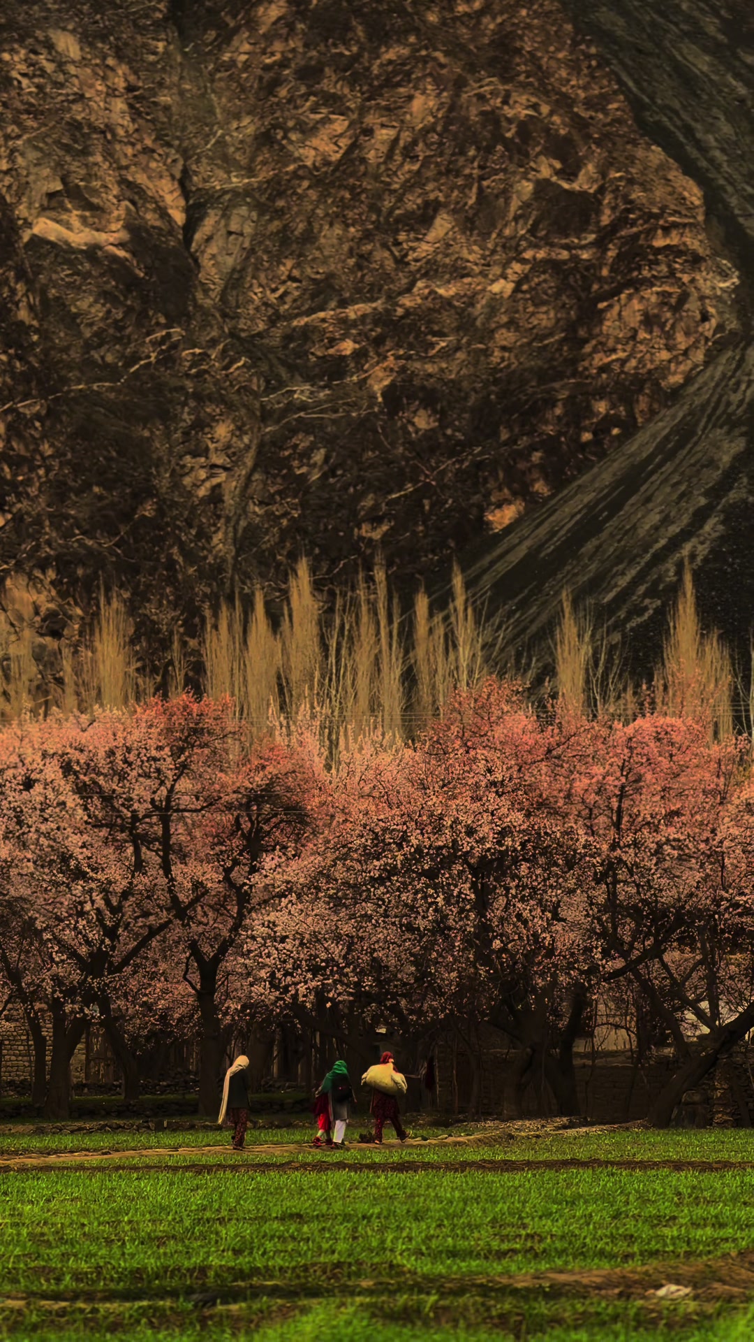 @𝐍𝐀𝐓𝐔𝐑𝐄 𝟐.𝟔