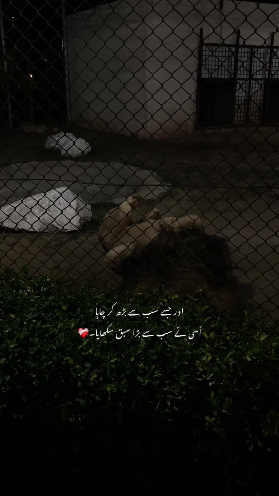 @ع🩹❤️🩹