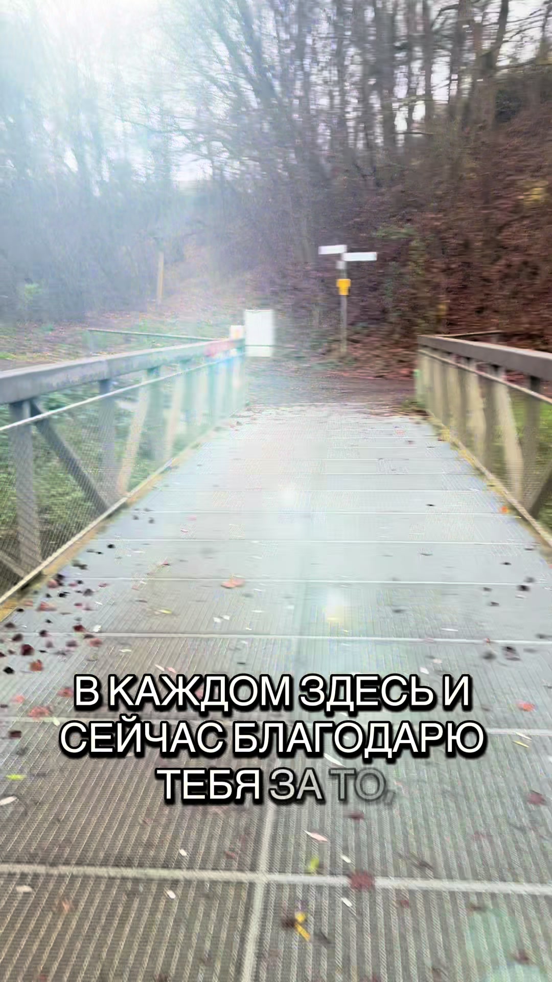 @Александр Белый