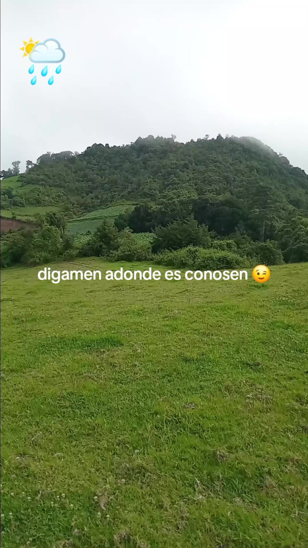 @Alex 504 ❤️