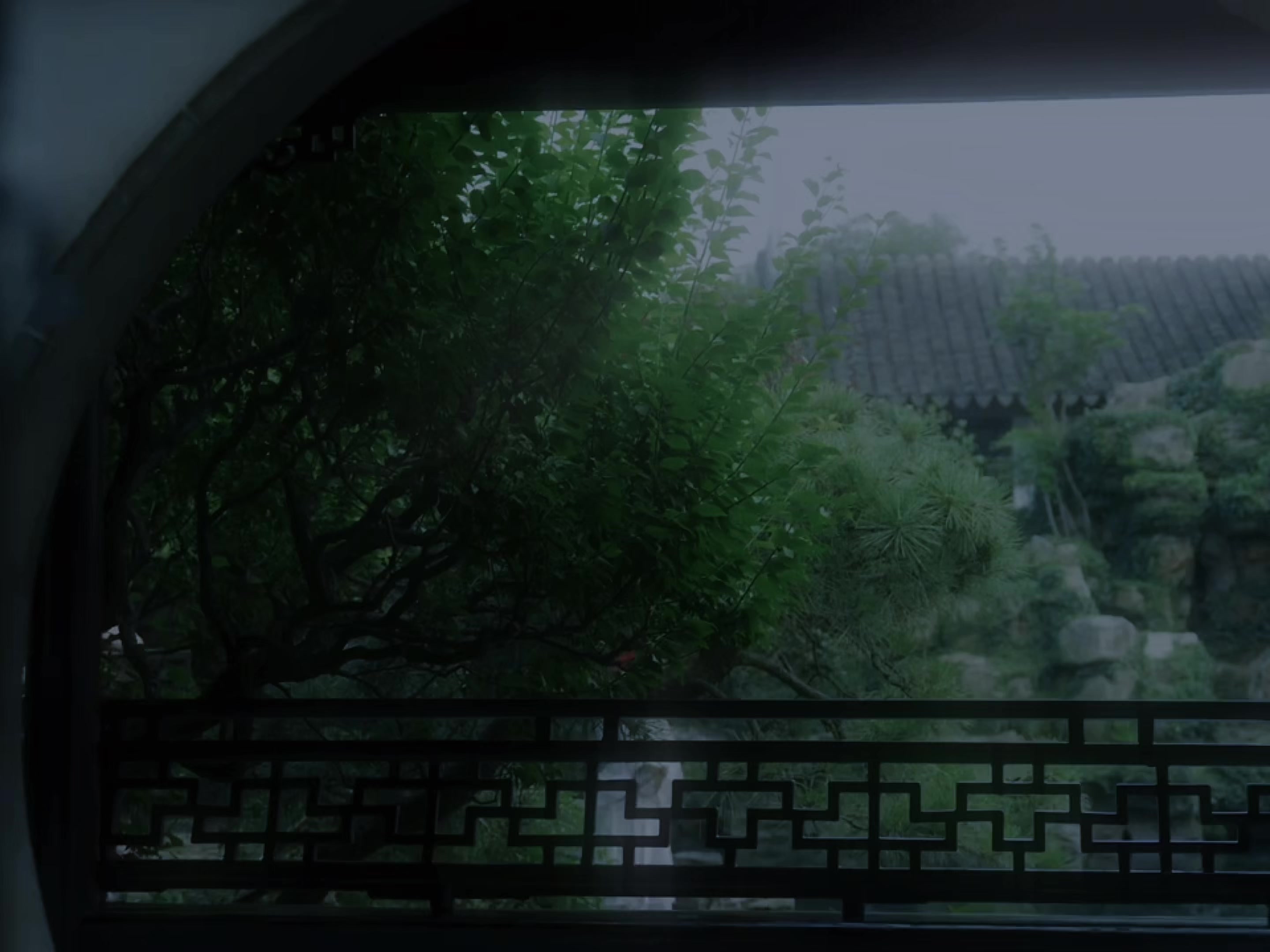 @lào weiwei