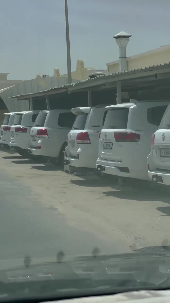 @SHK_1997