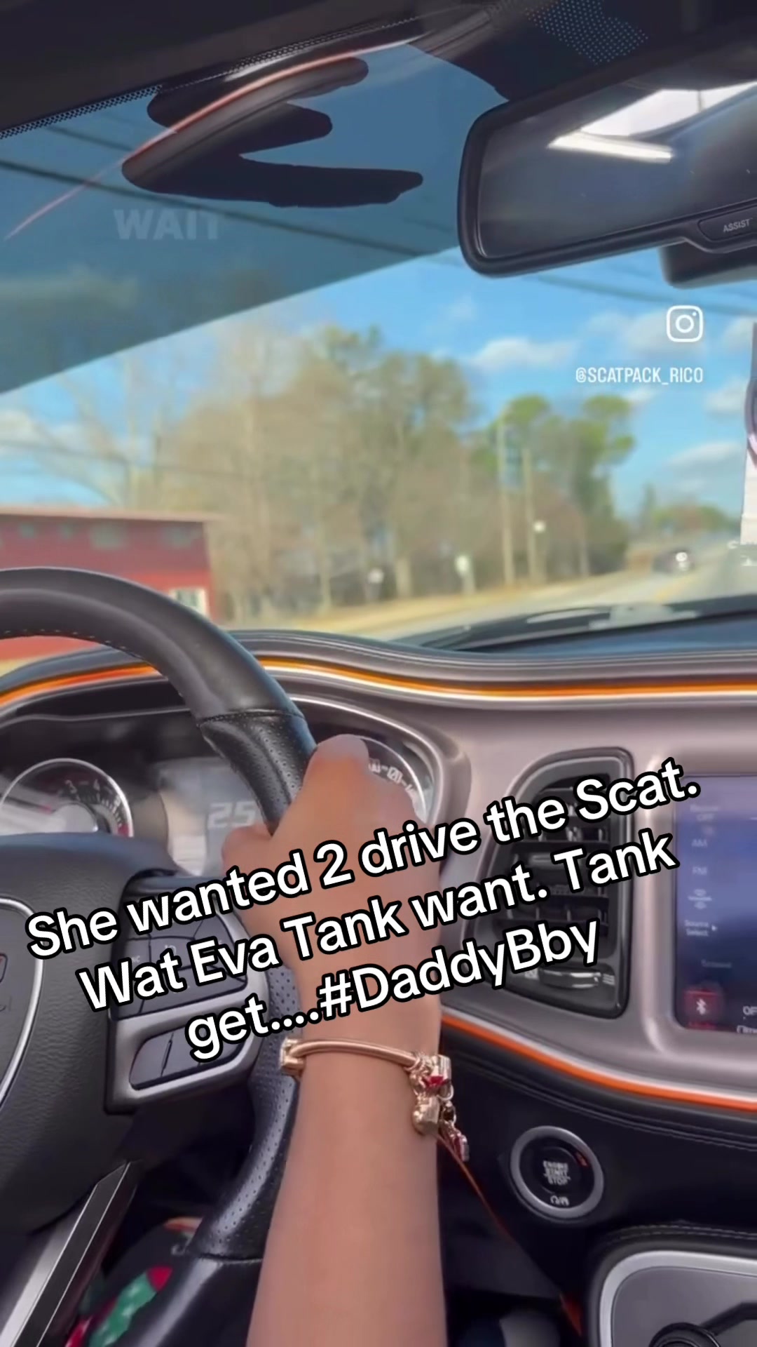 @scatpack_rico