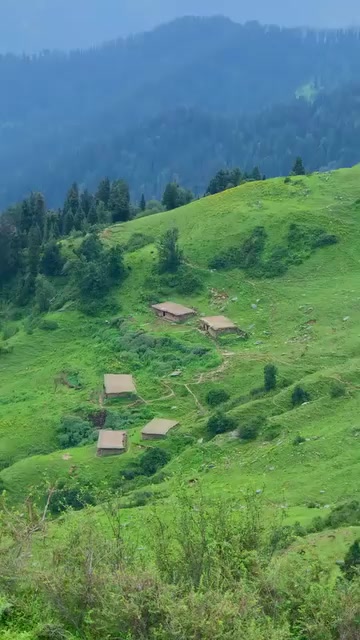 @SAQIB Kasana