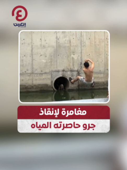 @العين الإخبارية