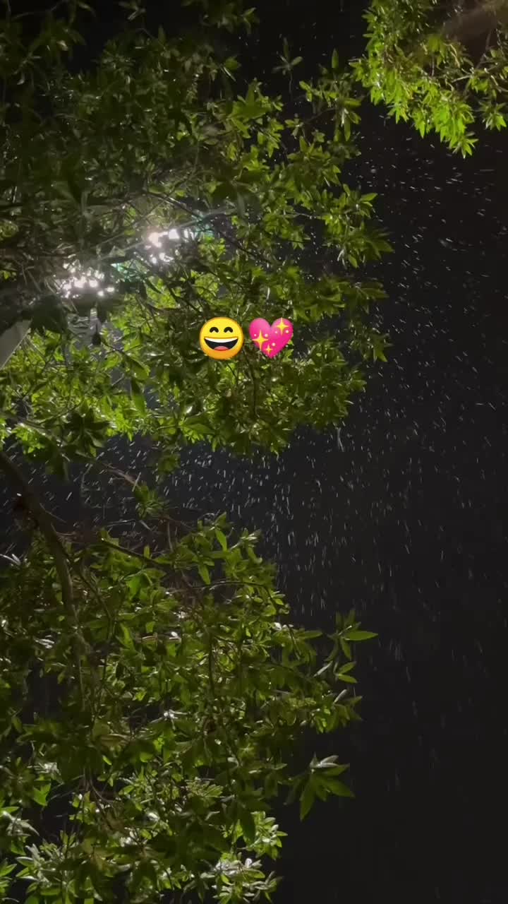 @Ꭾʀ!ᴍᴇ"ᴀʟɪ"
