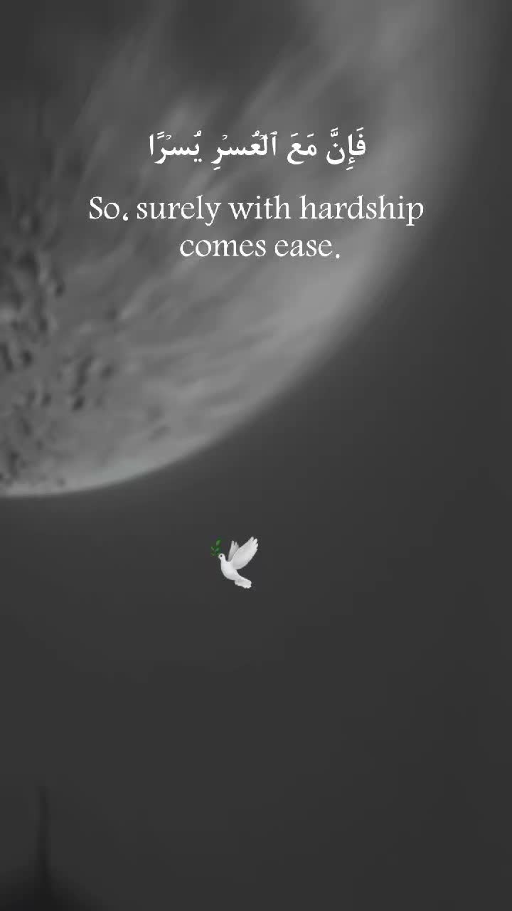 @Mahmoud Abdinaseer 🕊