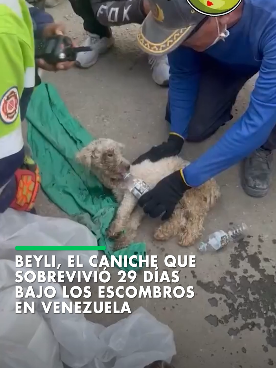 @CONECTADOS BOLIVIA 🇧🇴