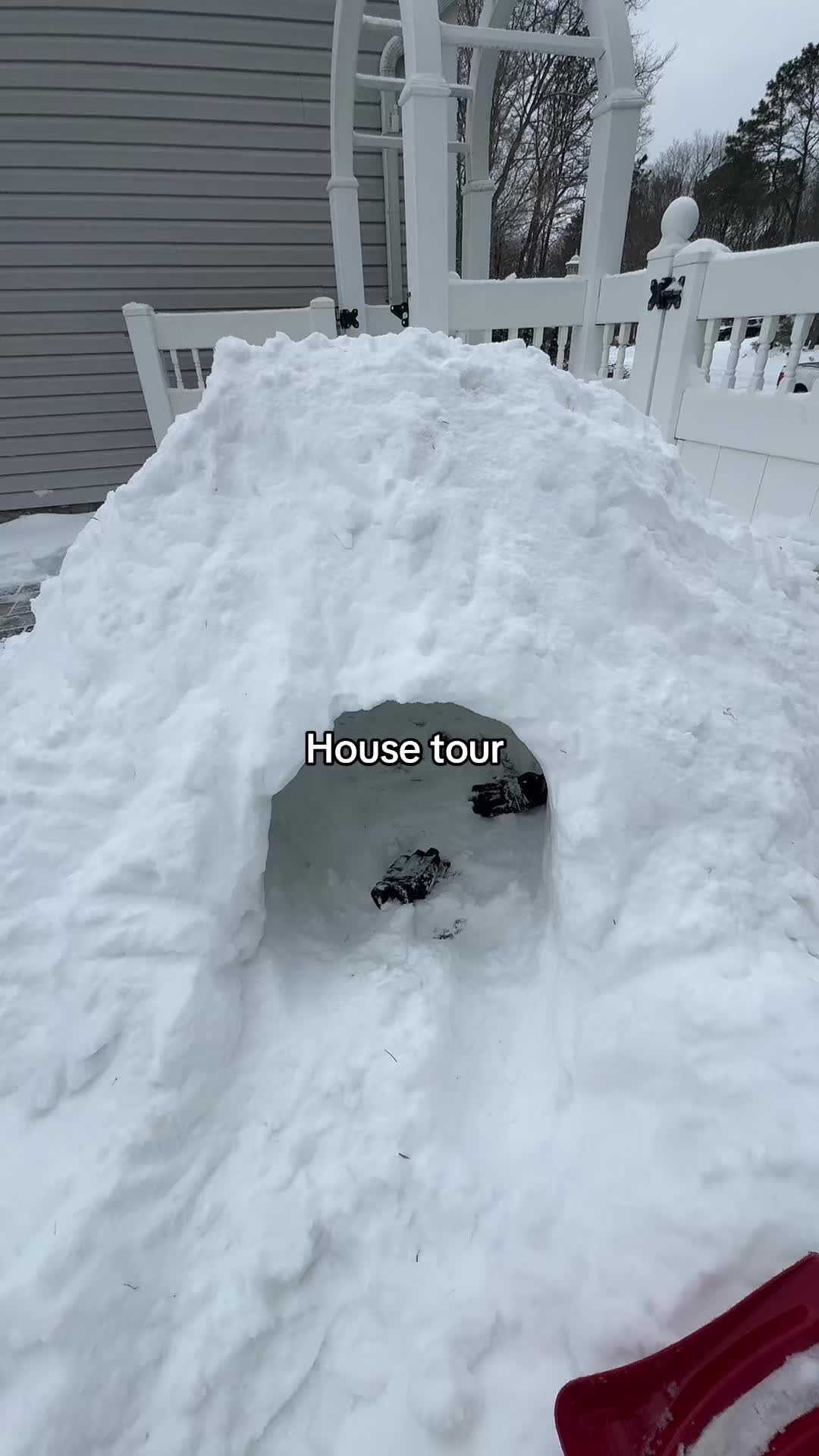 @Dumbbitch
