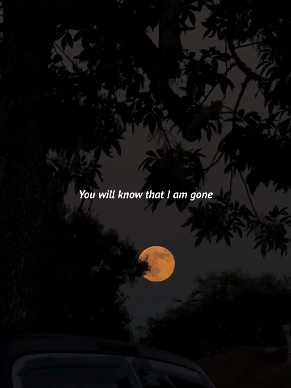 @my.