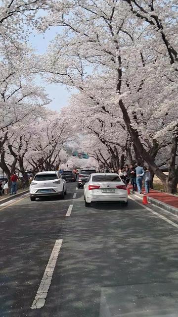 @장병호