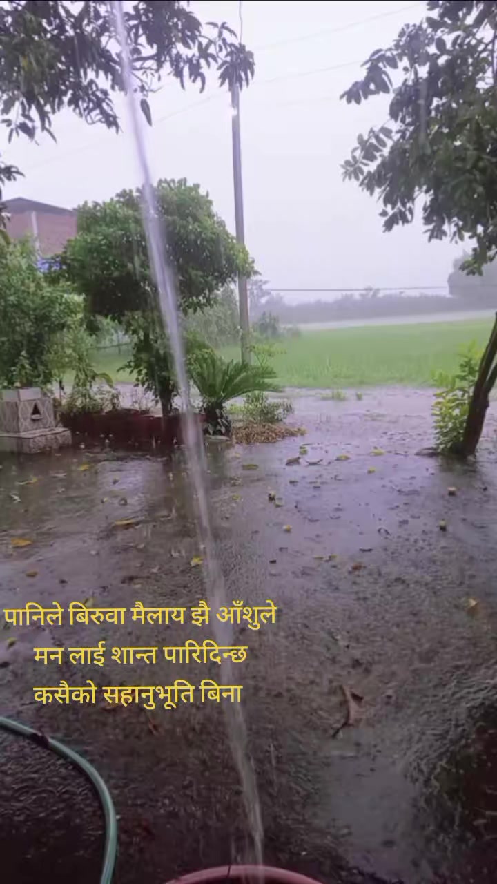 @Shanta NEUPANE