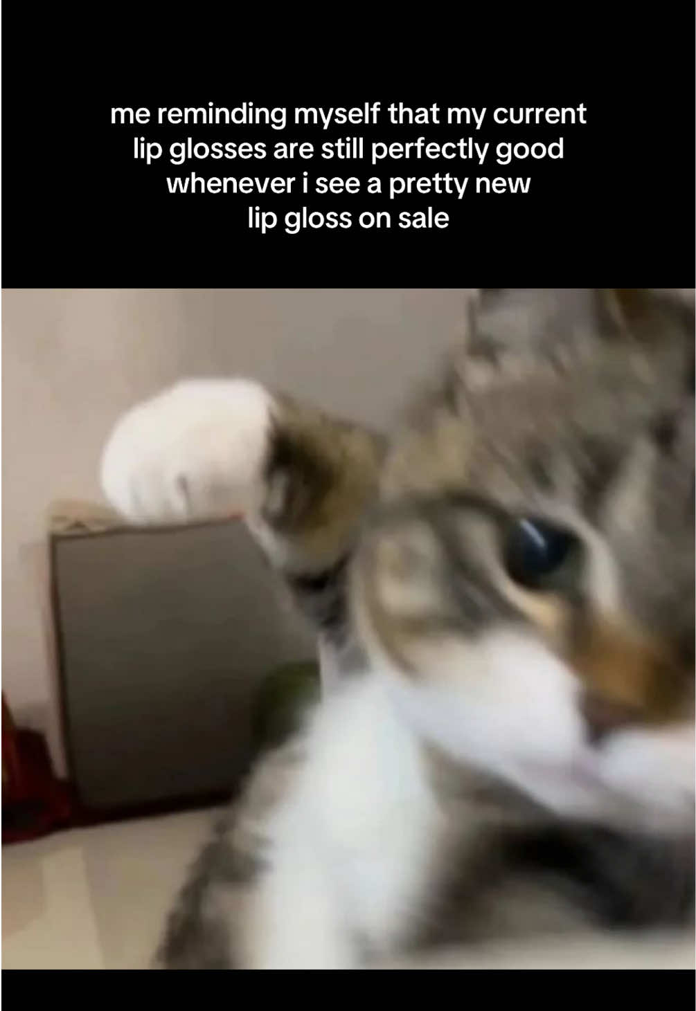 @matcha alien cat