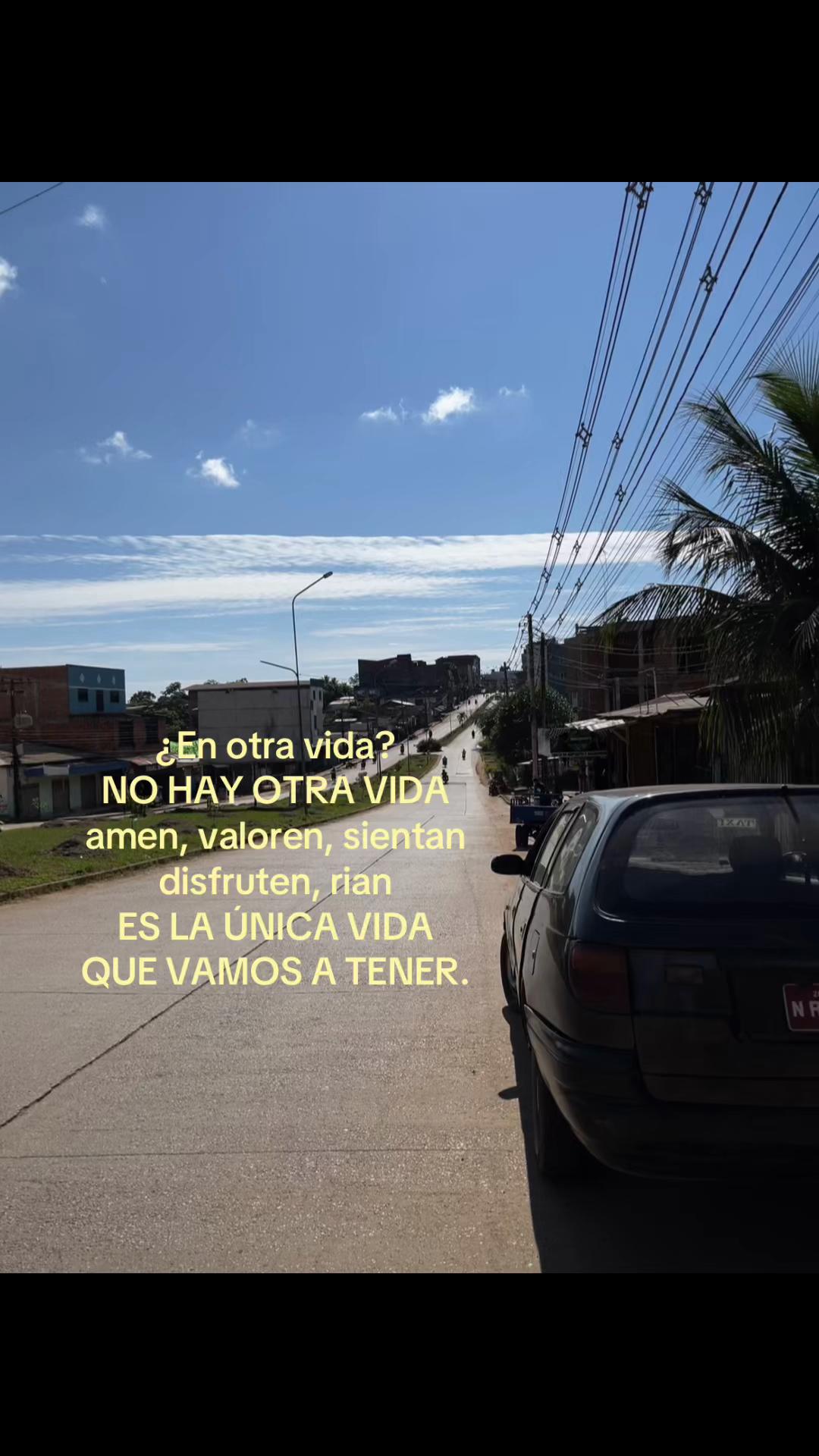 @Ara🦋