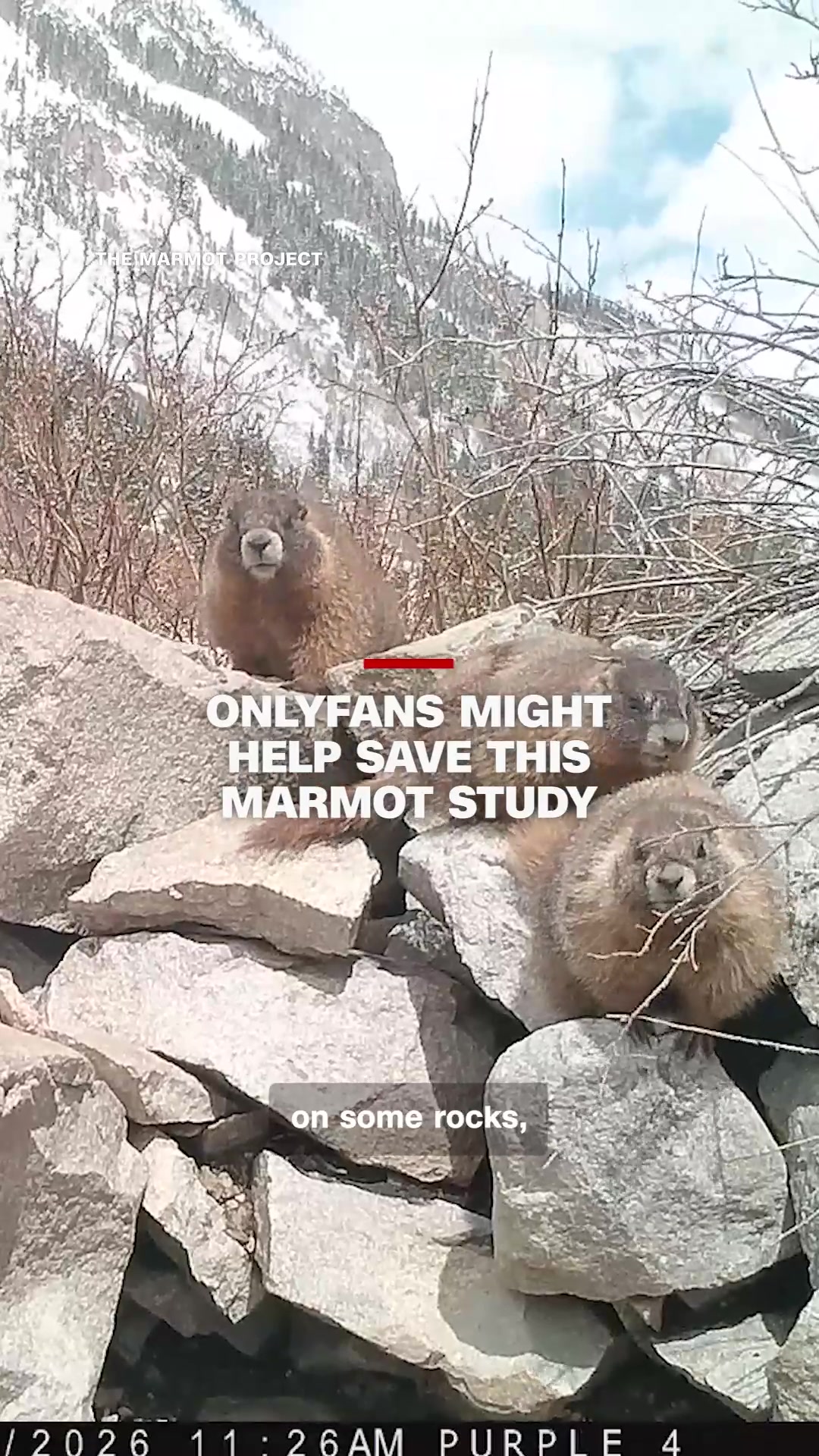@CNN